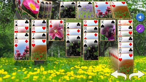Solitaire 3D screenshot 8
