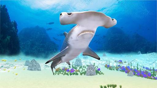 The Hammerhead Shark screenshot 6