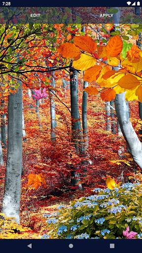 Leaves Parallax Live Wallpaper screenshot 6