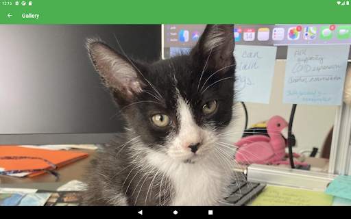 Imgur Browser screenshot 16