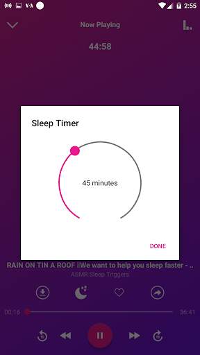 Relaxing Music For Sleeping screenshot 3