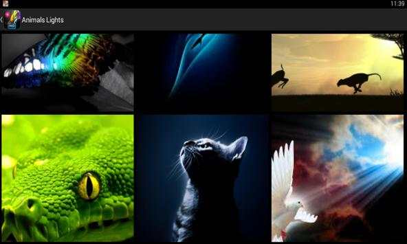 Best Wallpapers  For Galaxy s7 screenshot 14