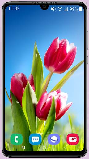 Tulips Wallpaper Best HD screenshot 1