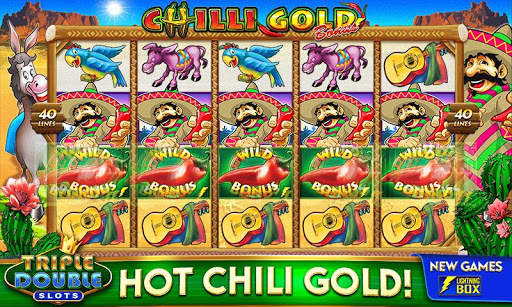 Triple Double Slots - Casino screenshot 4