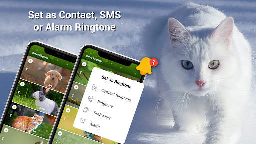 Animal Ringtones - Birds Sound screenshot 1