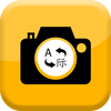 Snap and Translate icon