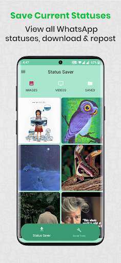 Status Saver for WhatsApp - Save & Download Status screenshot 1