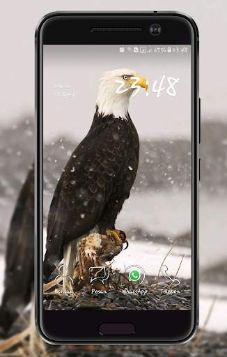 Eagle  Wallpaper screenshot 8