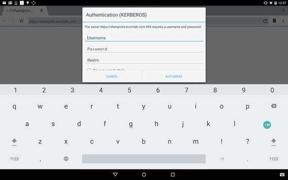 BlackBerry Access screenshot 7