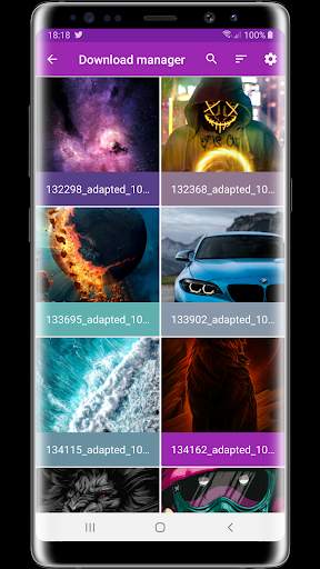 Download Manager FREE screenshot 2