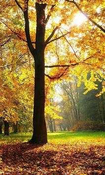 Autumn Jigsaw Puzzle Game screenshot 3