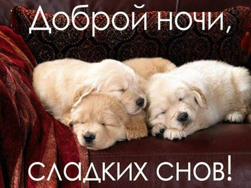 Добрый вечер Спокойной ночи Cладких снов 5 تصوير الشاشة