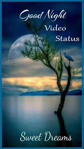 Good Night Video Status screenshot 1