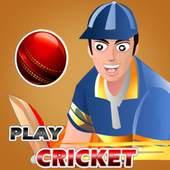Play Cricket 0.1.3