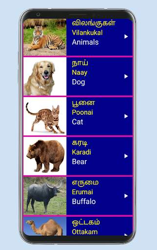 Learn Tamil From English скриншот 5