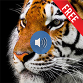 animal sounds icon