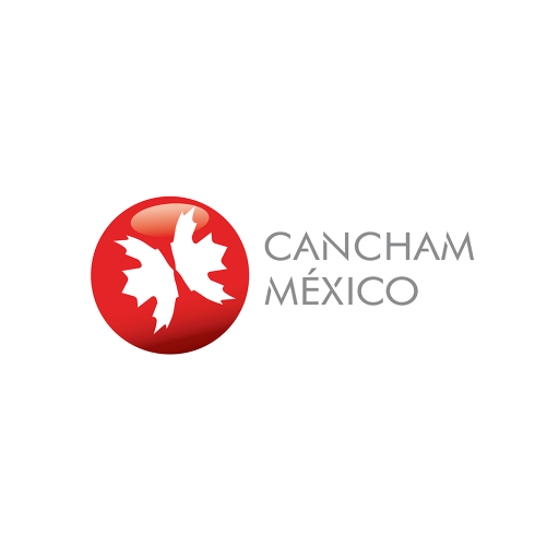 CMD 2019 icon
