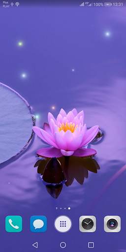 Beautiful Summer HD Wallpapers 3 تصوير الشاشة