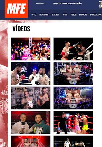 MIX FIGHT / MFE screenshot 4