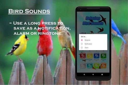 Relaxing Bird Sounds screenshot 3