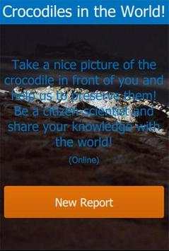 Crocodiles in the World! screenshot 2
