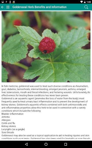 Medical & Drugs Dictionary screenshot 7