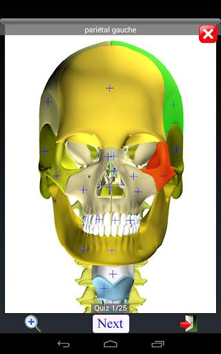 Anatomy Quiz screenshot 14