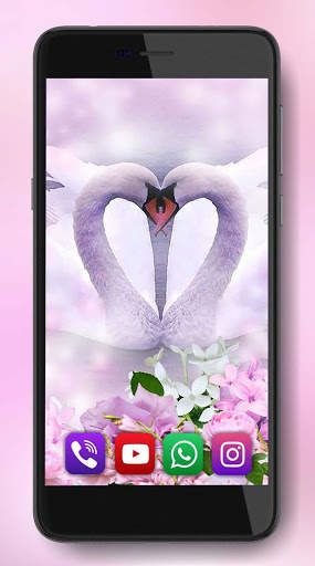 Spring Swans Live Wallpaper screenshot 5