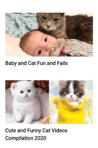 Funny Cat Best Videos स्क्रीनशॉट 4