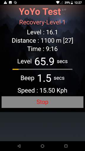 Yo-Yo Intermittent Test скриншот 3