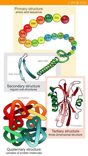 A Level Biology скриншот 5