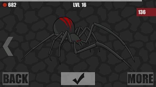 SpiderLand - Spider Web Simulator screenshot 1
