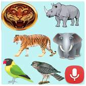 Animal Bird Voice 1.5
