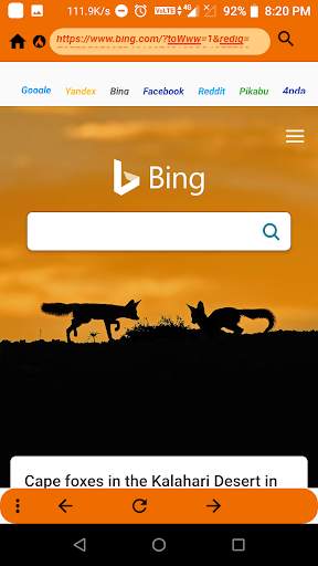 Indian browser screenshot 2