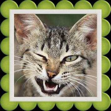 Sound Cats स्क्रीनशॉट 3