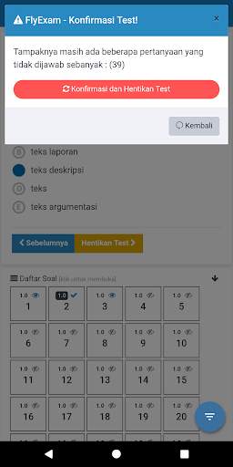 FlyExam Browser screenshot 7