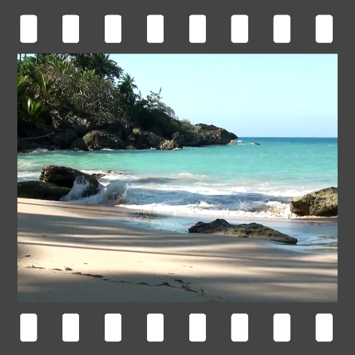 The Beach Video LWP icon