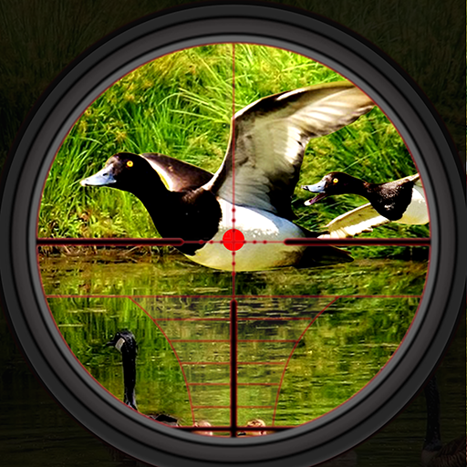 Duck Hunting Wild Shooting Sim icon