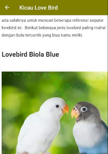 Suara Kicau Love Bird Juara Offline screenshot 7