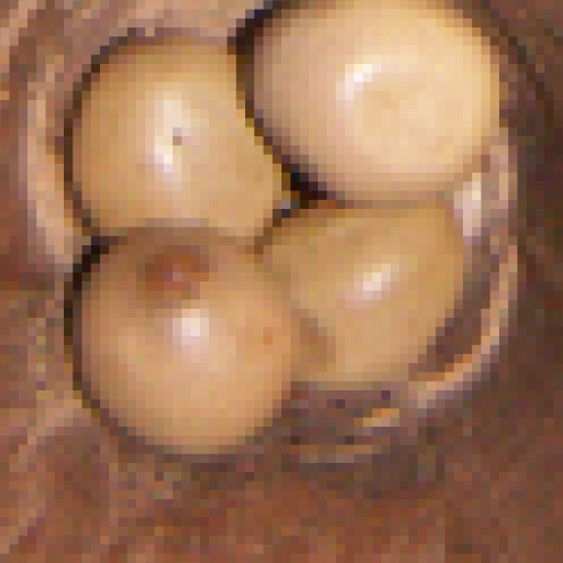 Awale classic icon