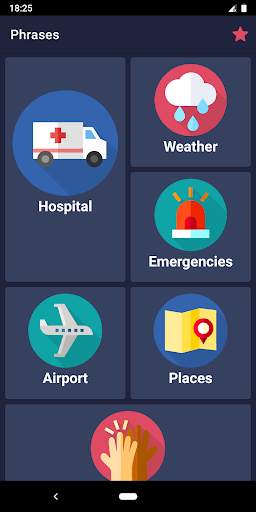 Travel Phrases screenshot 4