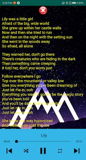 Alan Walker Song plus Lyrics screenshot 5