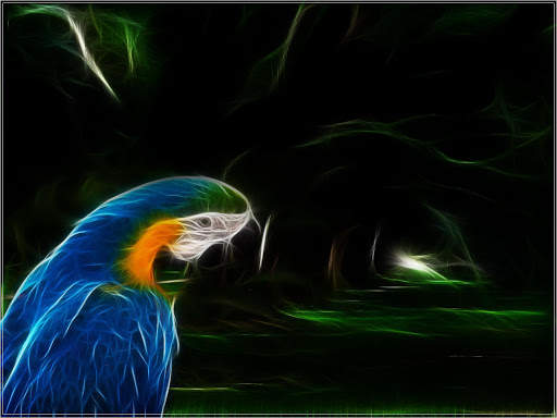 Parrot Wallpapers screenshot 3