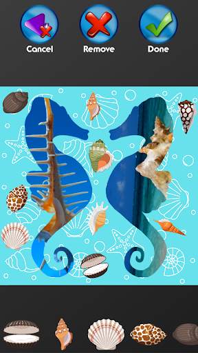 Seashells Photo Collage screenshot 7
