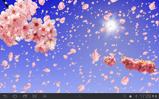 Sakura Free Live Wallpaper screenshot 4
