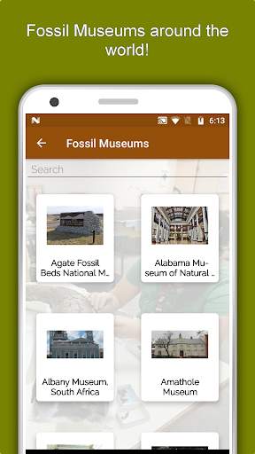 Palaeontology Dictionary - Fossil Discovery Guide 5 تصوير الشاشة