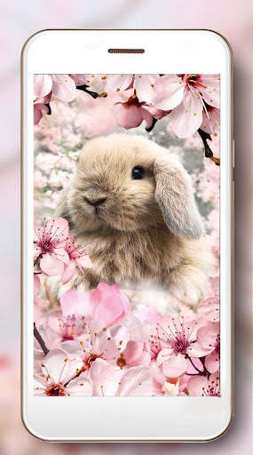 Bunnies Pink Live Wallpaper screenshot 2