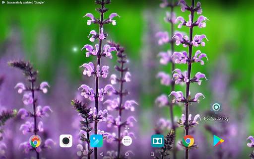 Beautiful Summer HD Wallpapers 10 تصوير الشاشة