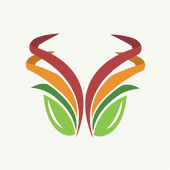 NSS Raptor  icon