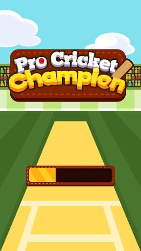 Pro Cricket Champion screenshot 1